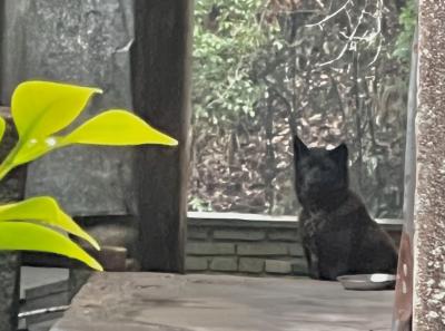 China 2023 Apr 99 52872770785 O