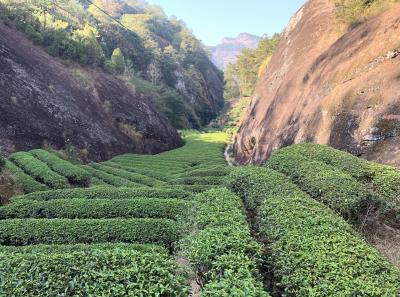 Img 0847 49533435083 O