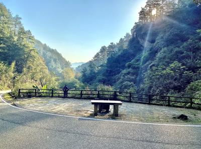 Img 0983 49533437713 O