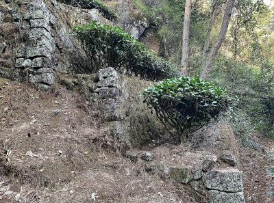 Img 0985 49533934171 O