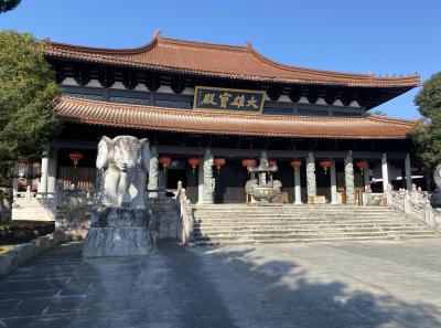 Img 1007 49533925621 O