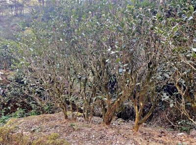 Img 1021 49533935996 O