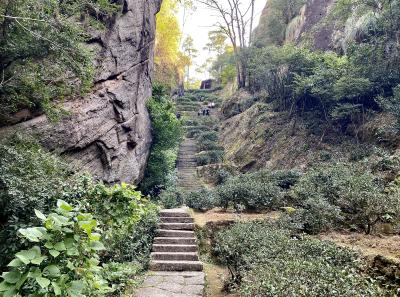 Img 1045 49533937826 O