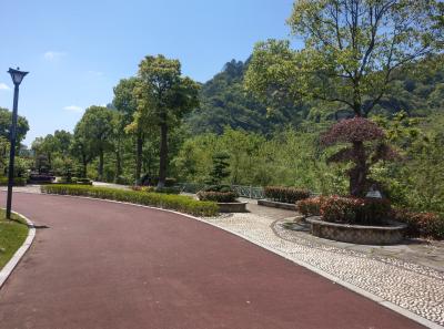 Imag0399 47949249643 O