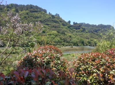 Imag0402 47949283606 O