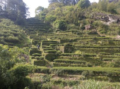 Imag0431 47949256773 O