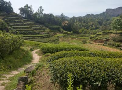 Imag0454 47949264283 O