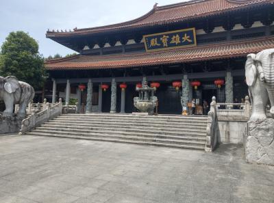 Imag0460 47949300831 O