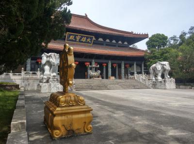 Imag0461 47949254842 O