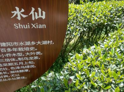 Imag0484 47949282453 O