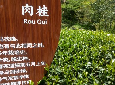 Imag0487 47949270732 O