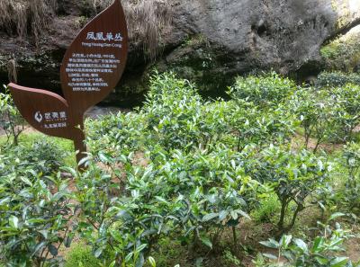 Imag0491 47949321561 O