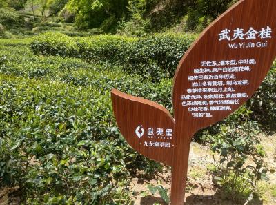 Imag0493 47949278227 O