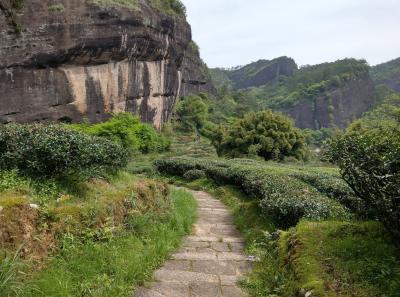 Imag0418 40680784955 O