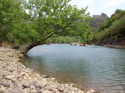 Img 1878 41560830631 O