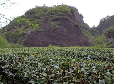 Img 1908 40668023815 O