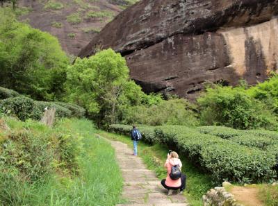 Img 1917 27691382538 O