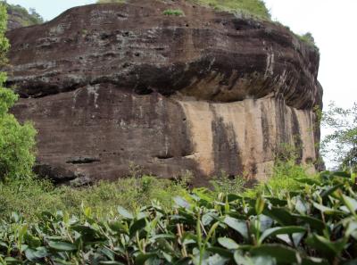 Img 1919 27691385998 O