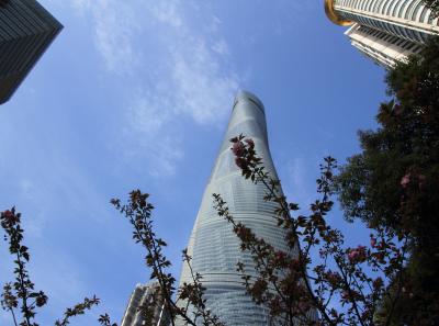 Img 0755 33403087074 O