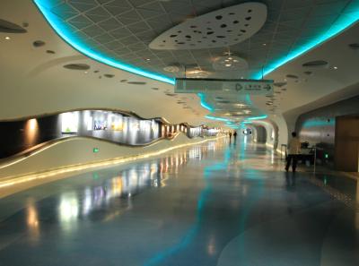 Img 0786 34114023011 O