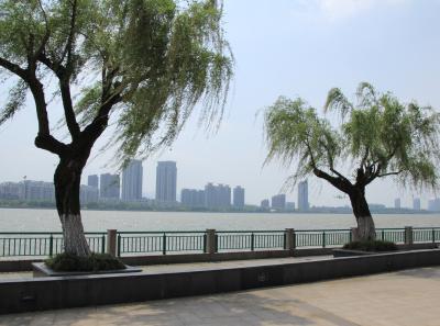 Img 0930 33403142544 O