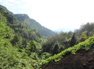 Img 0991 33403181034 O