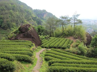 Img 1003 33403205194 O1