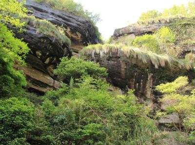 Img 1009 33860436240 O1