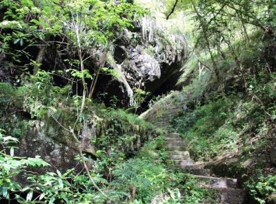 Img 1020 33403239394 O