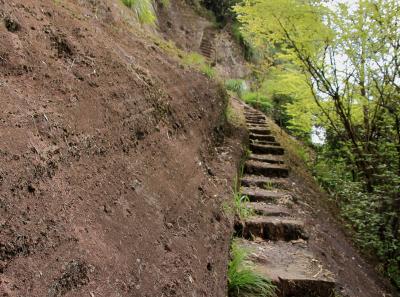 Img 1021 33403248414 O