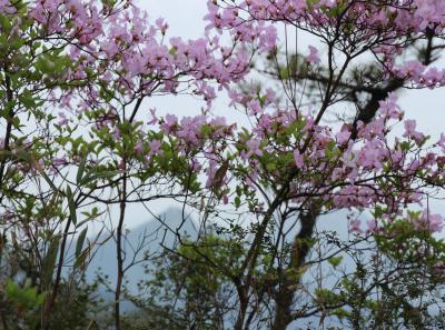 Img 1035 34087747262 O1