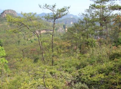 Img 1039 34244440895 O1