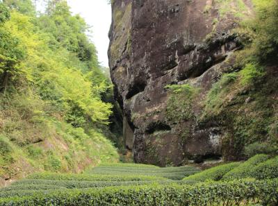 Img 1058 34244465905 O