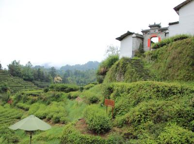 Img 1112 34114001701 O