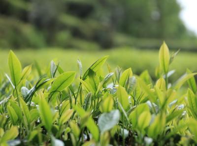 Img 1122 33860431840 O