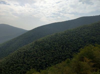 China 2018 18 31810849057 O