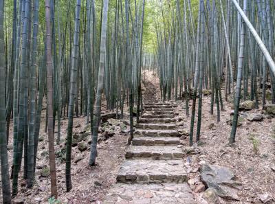 China 2018 23 45837183435 O