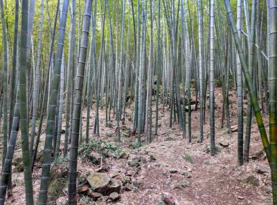 China 2018 24 39787093373 O