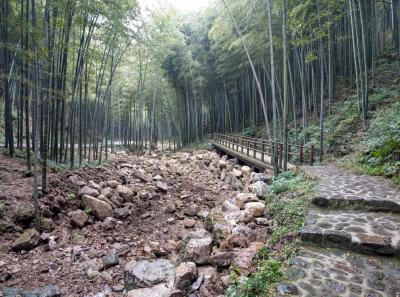 China 2018 27 46027558744 O