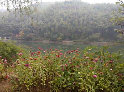 China 2018 30 46752624561 O