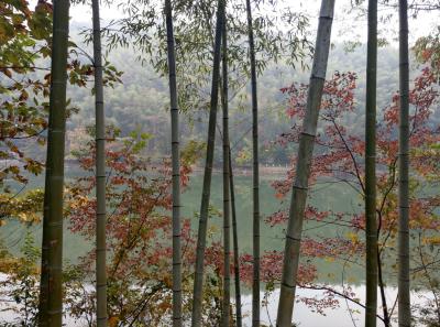 China 2018 31 45837208295 O