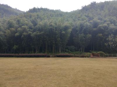 China 2018 32 39787109913 O