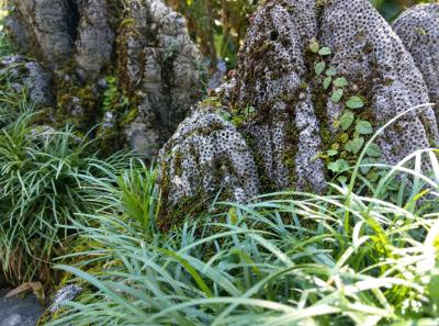 China 2018 39 46027574484 O