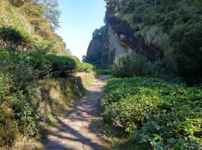 China 2018 55 32877113108 O