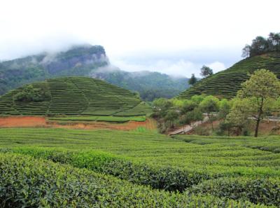 Img 9846 26047395084 O