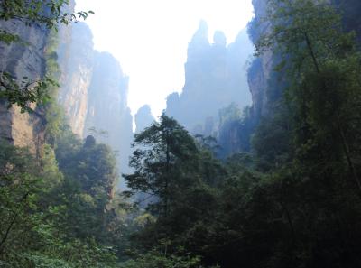 Img 9282 22112003004 O