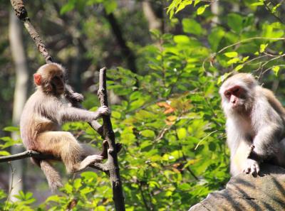 Img 9301 22546900380 O