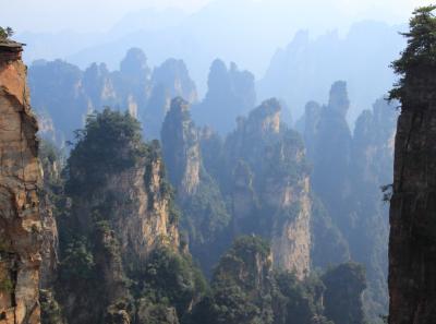 Img 9335 22746045371 O