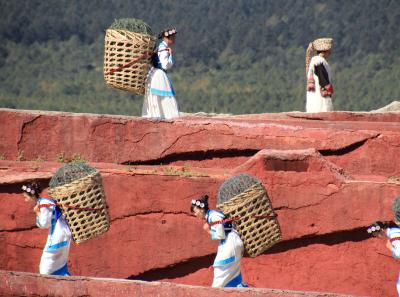 Img 9535 22547269800 O