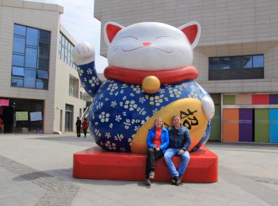 Img 8459 17251455911 O